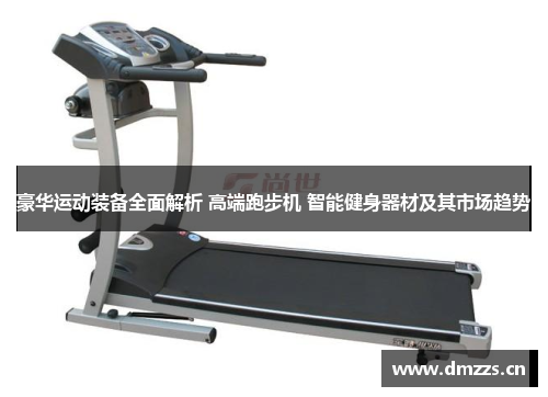 豪华运动装备全面解析 高端跑步机 智能健身器材及其市场趋势