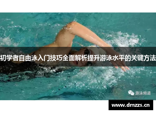 初学者自由泳入门技巧全面解析提升游泳水平的关键方法