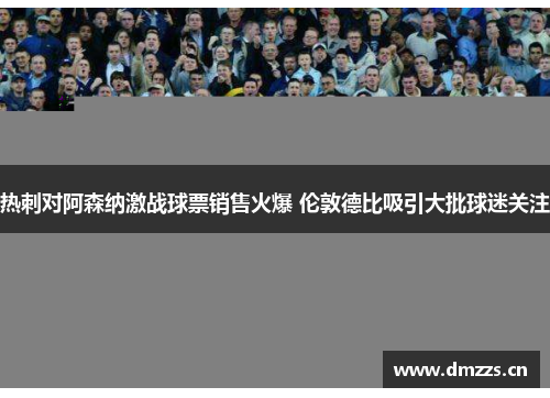 热刺对阿森纳激战球票销售火爆 伦敦德比吸引大批球迷关注