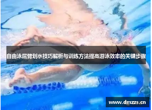 自由泳屈臂划水技巧解析与训练方法提高游泳效率的关键步骤