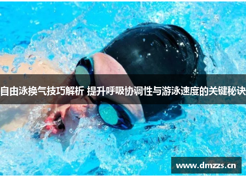 自由泳换气技巧解析 提升呼吸协调性与游泳速度的关键秘诀